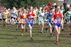 Boys under-13s 2016 Inter Counties Cross Country Champs. and Cross Challenge Final, Cofton Park, Birmingham. Photo: David T. Hewitson/Sports for All Pics